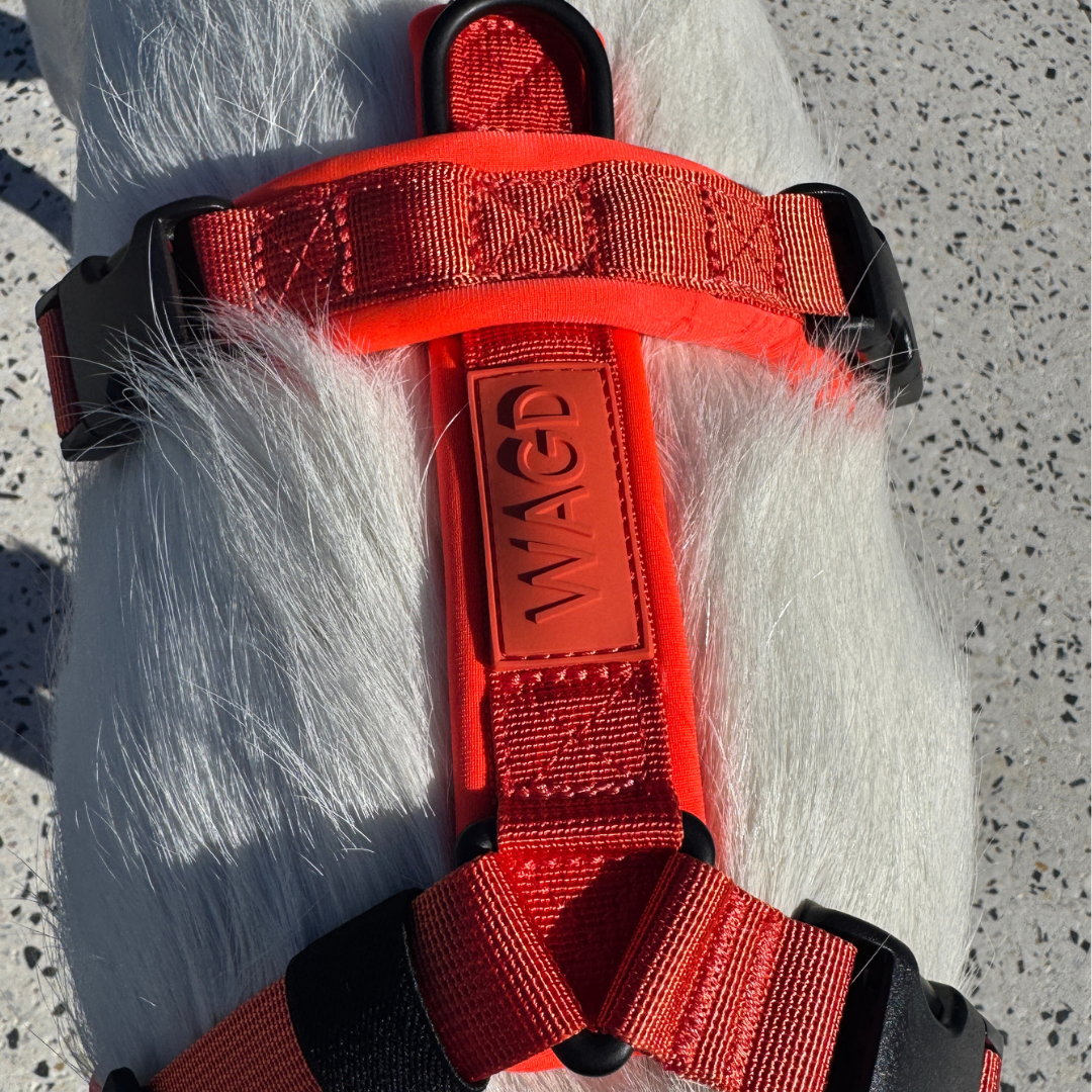 Dog Harness product image 33