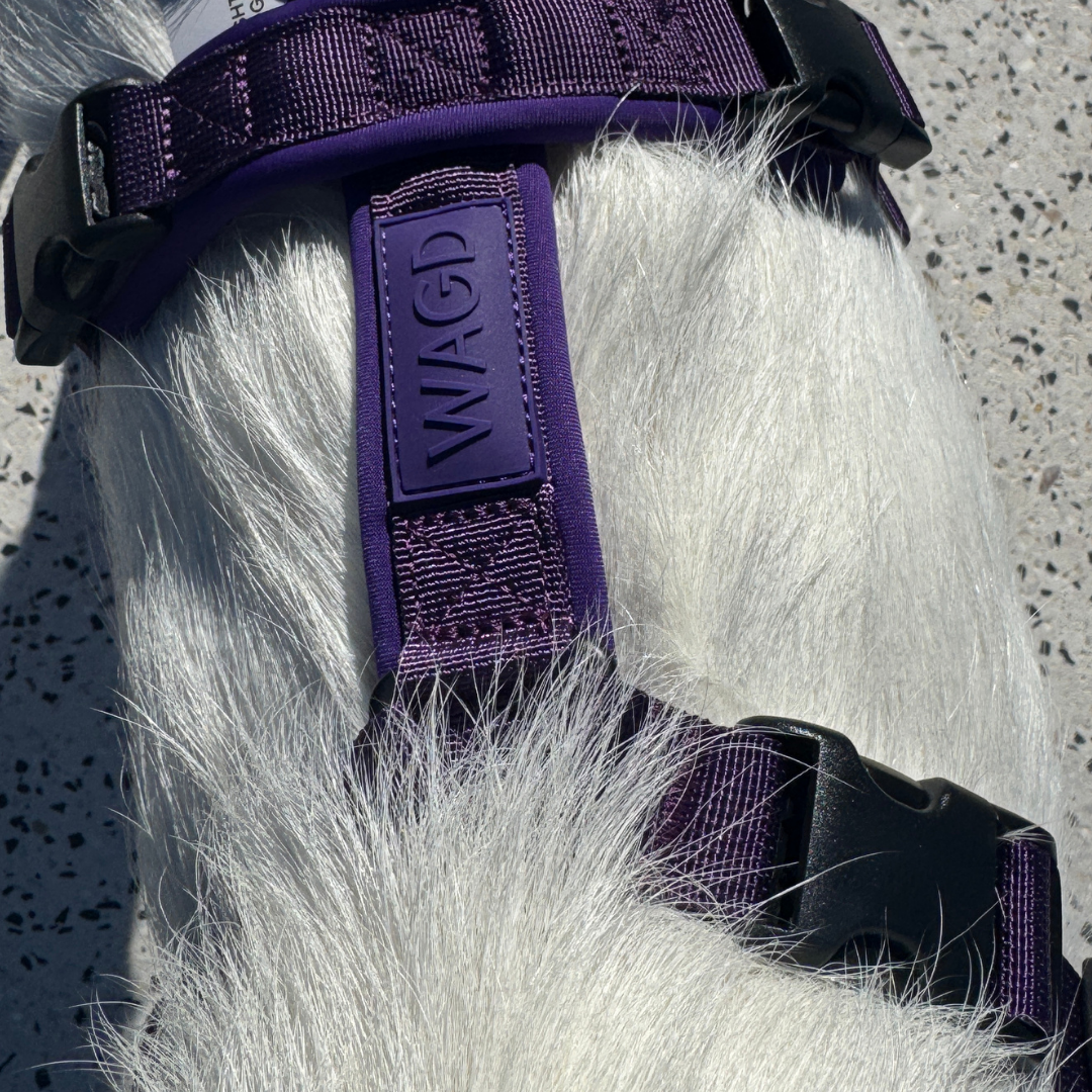 Dog Harness product image 34