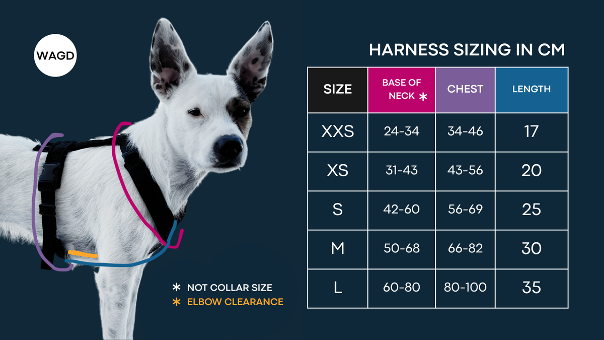 Dog Harness product image 36