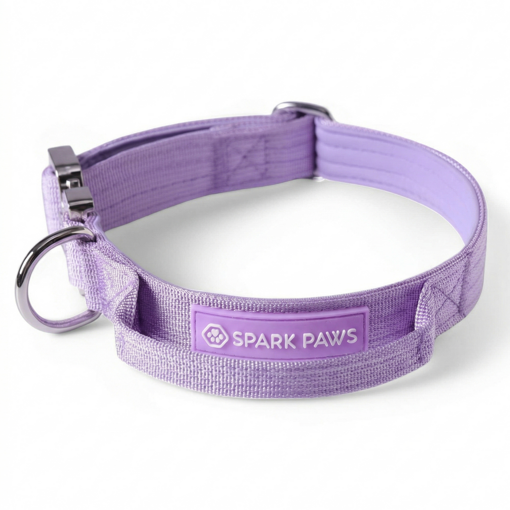 Control-Handle Dog Collar 2"/5cm / S