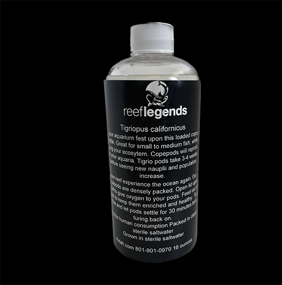 Live Copepods product image 1