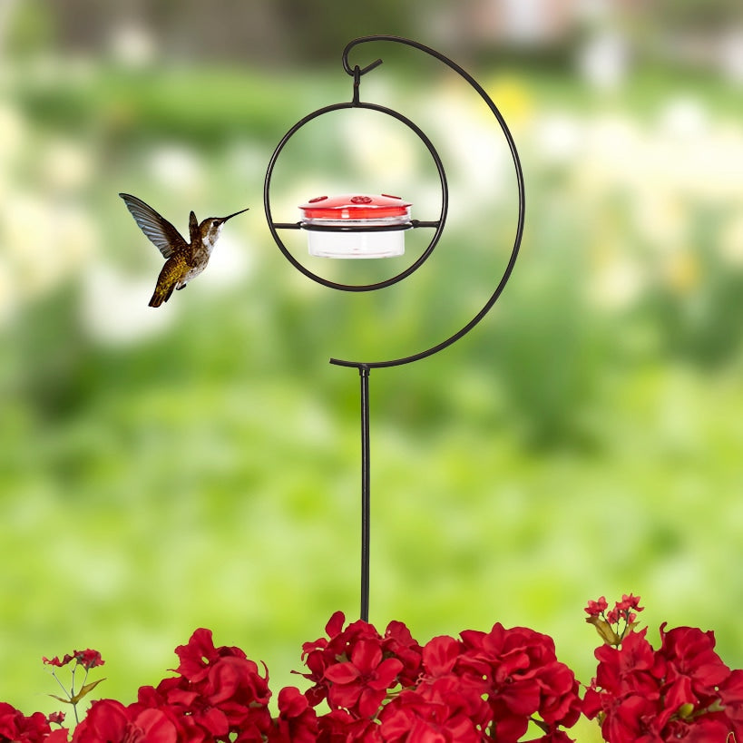 Hummingbird Feeder product image 1