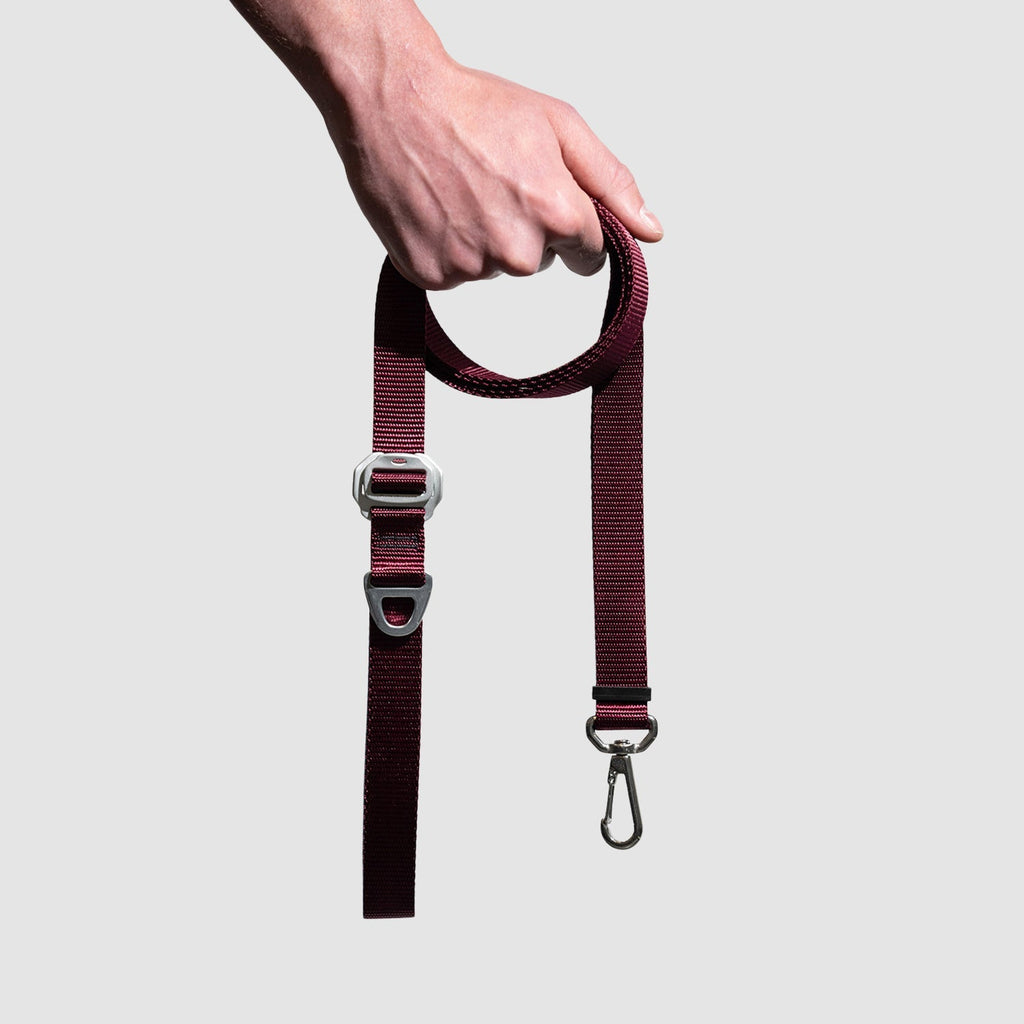 Adjustable Hands-Free Dog Leash product image 8