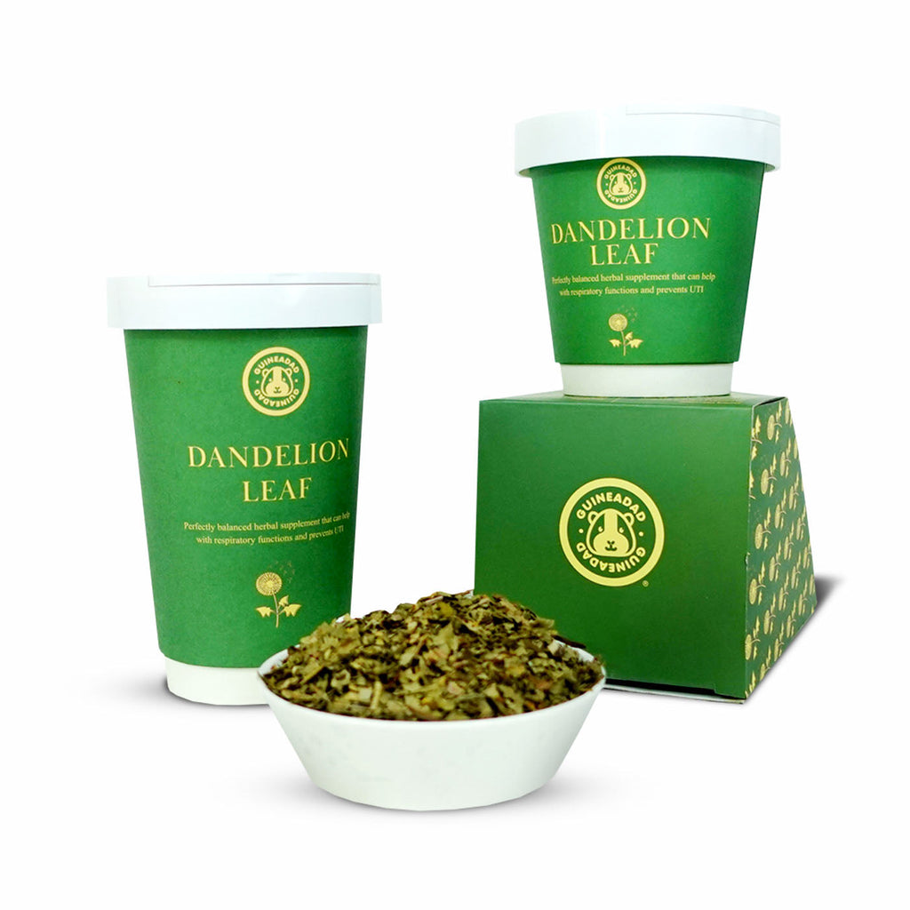 Guinea Pig Treats product image 1