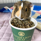 Guinea Pig Treats product image 2
