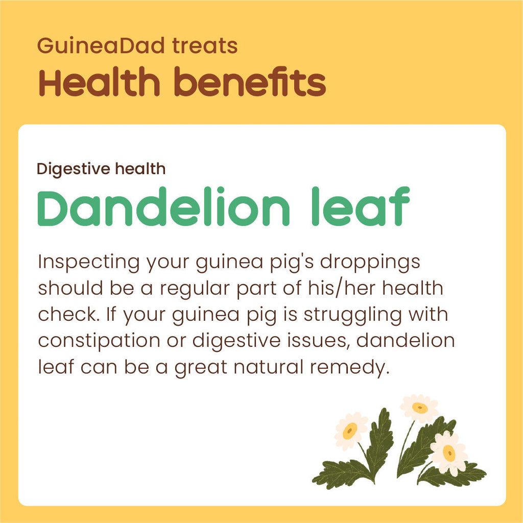 Guinea Pig Treats product image 5