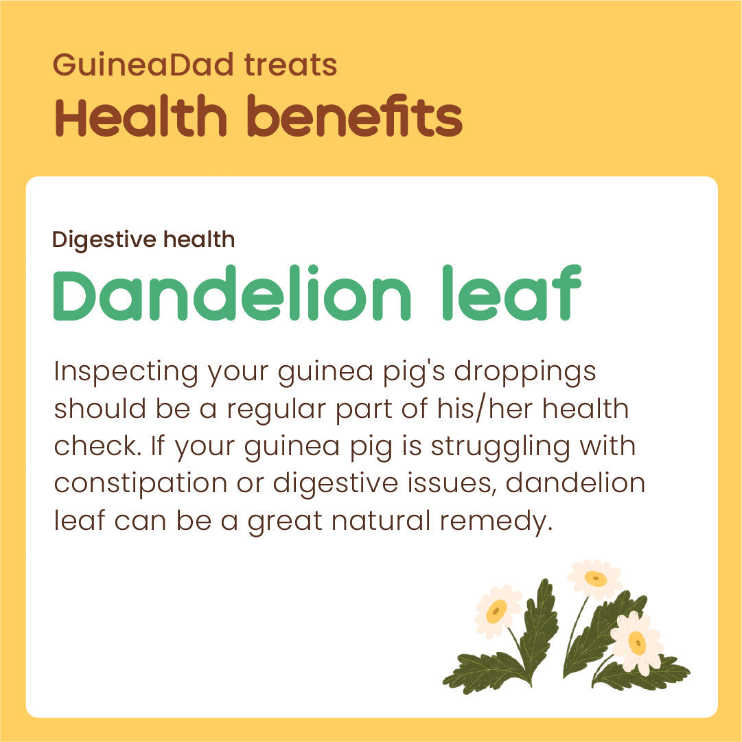 Guinea Pig Treats product image 5
