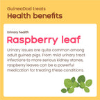 Guinea Pig Treat product image 5