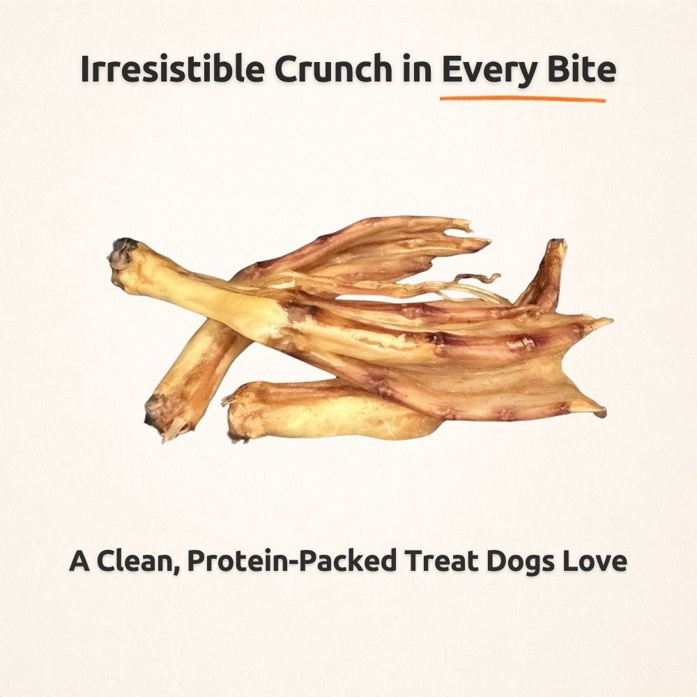 Whole Duck Feet Dog Treats product image 2