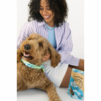 Dog Treats product image 5
