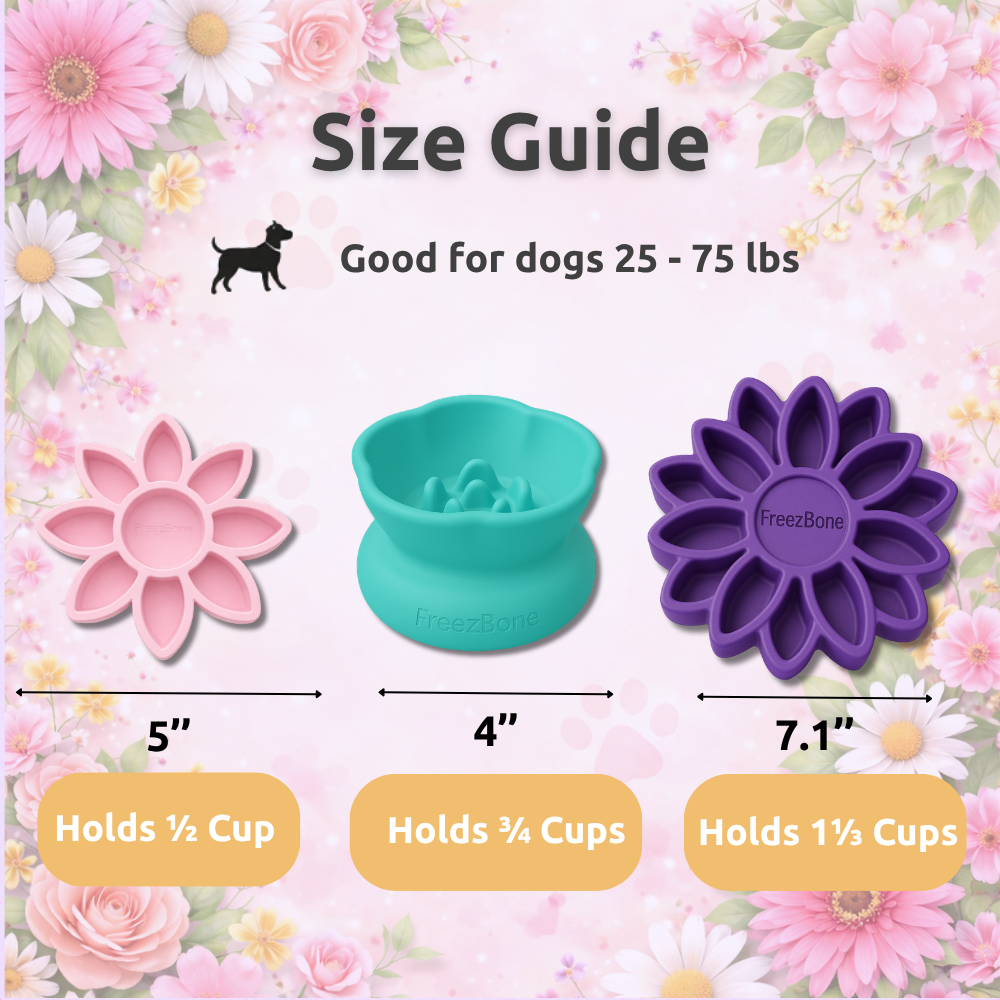 Dog Enrichment Toys product image 3