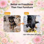 Dog Enrichment Toys product image 8