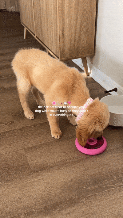 Dog Enrichment Toy Bundle product image 7