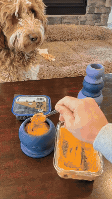 Dog Enrichment Toy Bundle product image 8