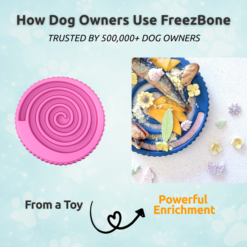 Dog Enrichment Toy Bundle product image 9