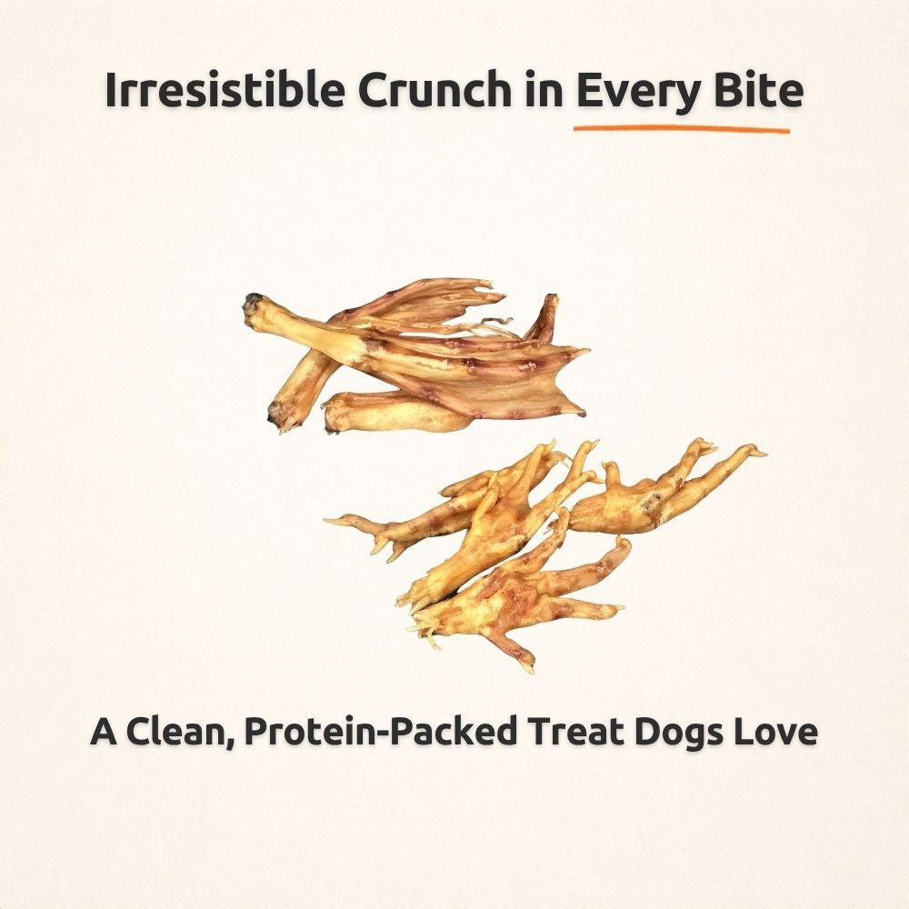 Chicken and Duck Feet Dog Treat Bundle product image 2