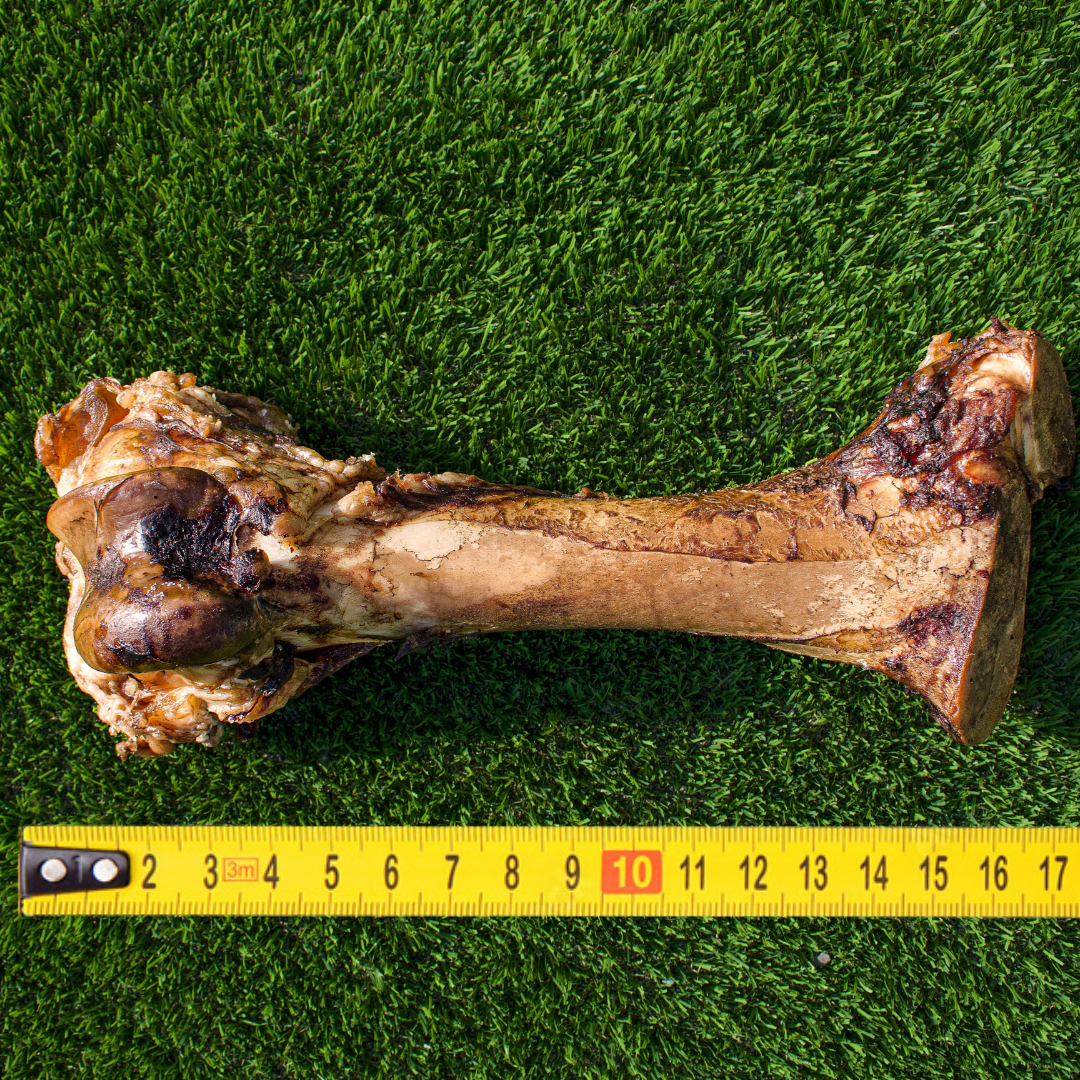 Dog Chew Bundle product image 3