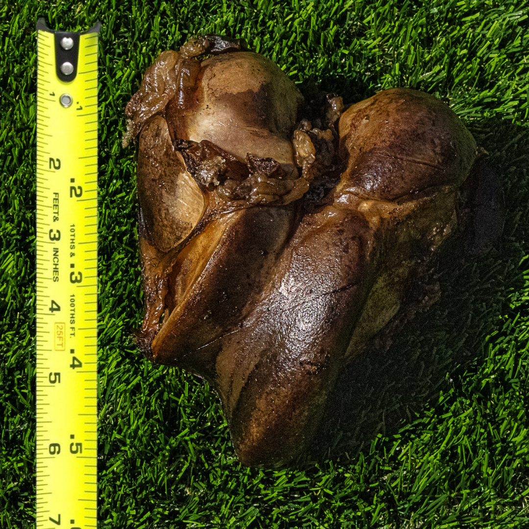 Dog Chew Bundle product image 5