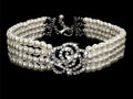 Dog Collar product image 1