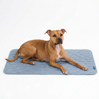 Breathable Cooling Dog Mat product image 71