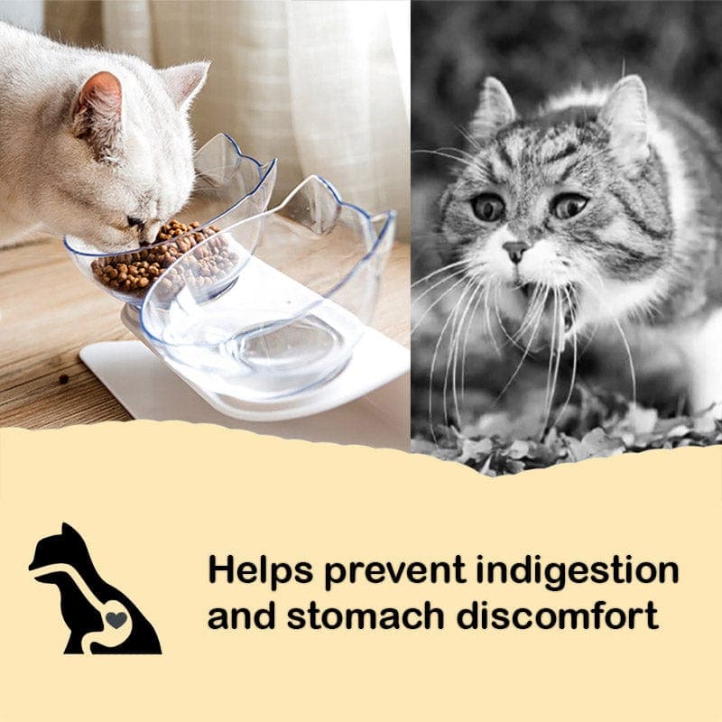 15-Degree Elevated Cat Bowl product image 3