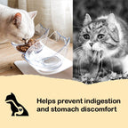 15-Degree Elevated Cat Bowl product image 3