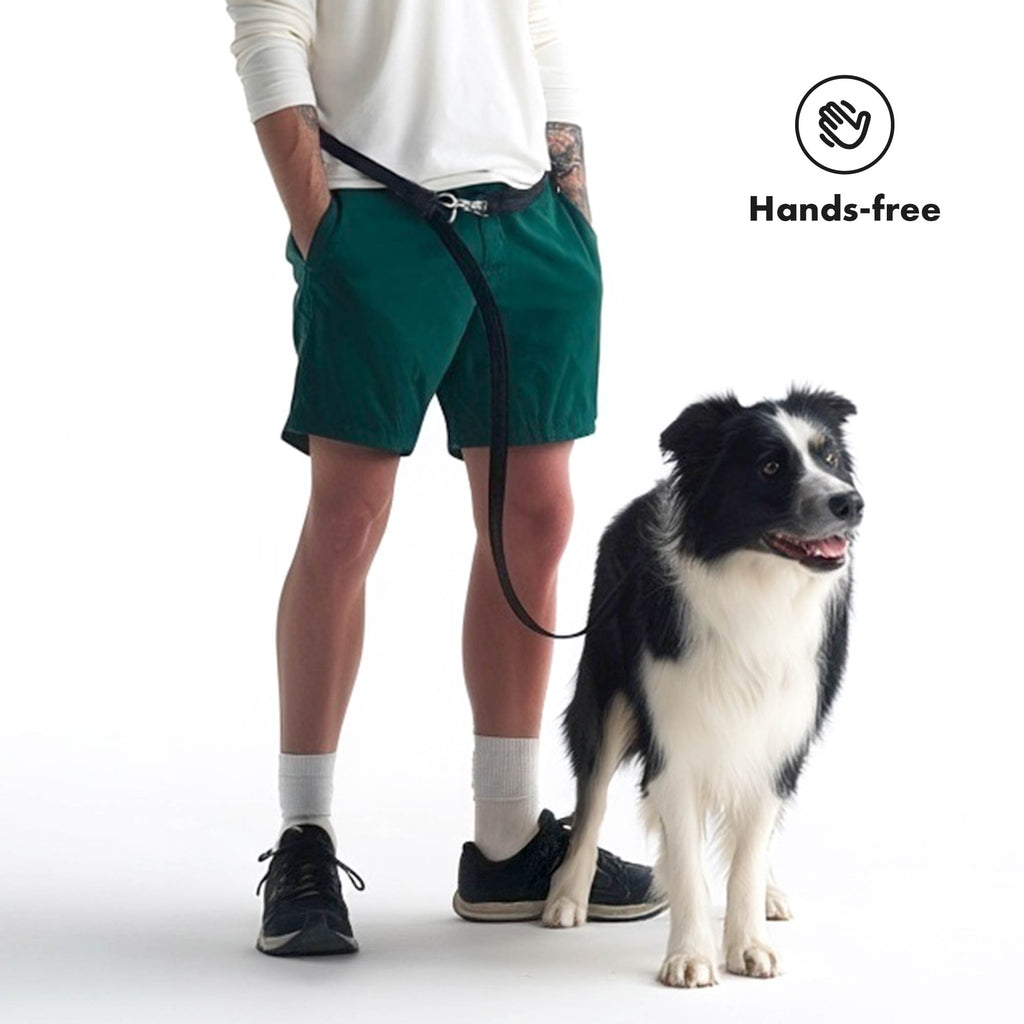 Hands-Free Dog Leash product image 3