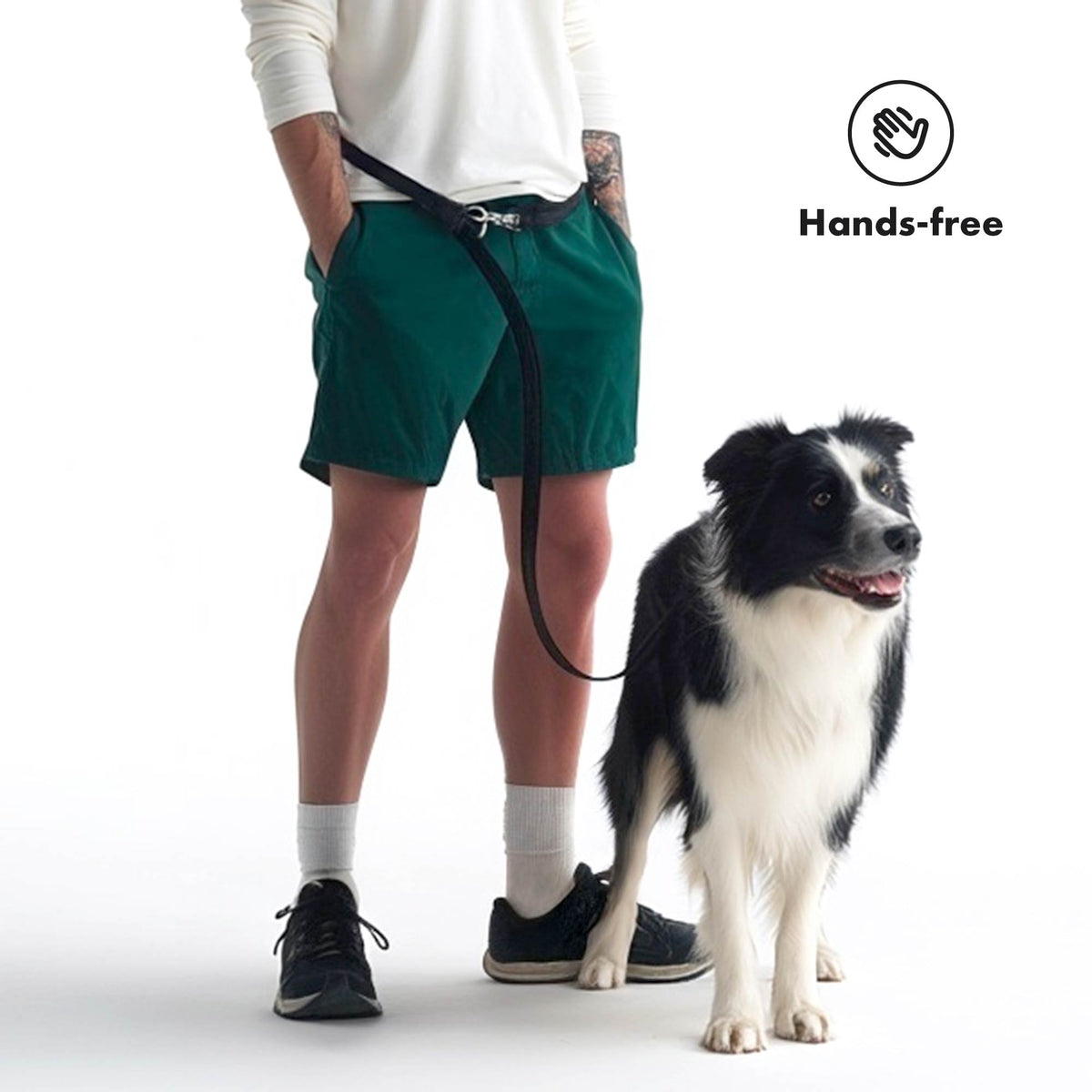 Hands-Free Dog Leash product image 3