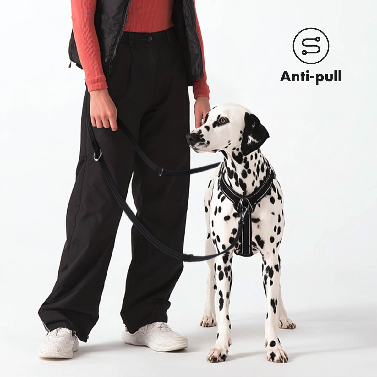 Hands-Free Dog Leash product image 4