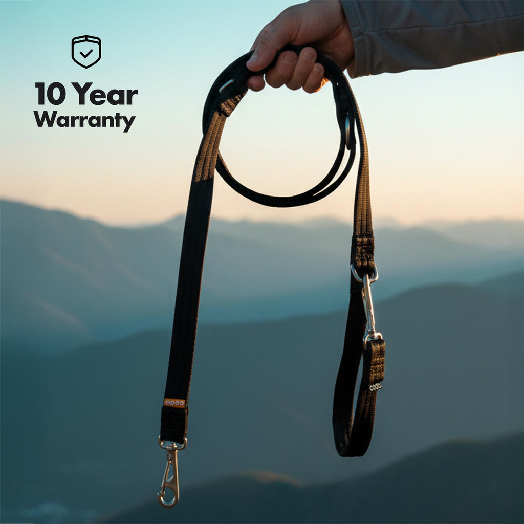 Hands-Free Dog Leash product image 6