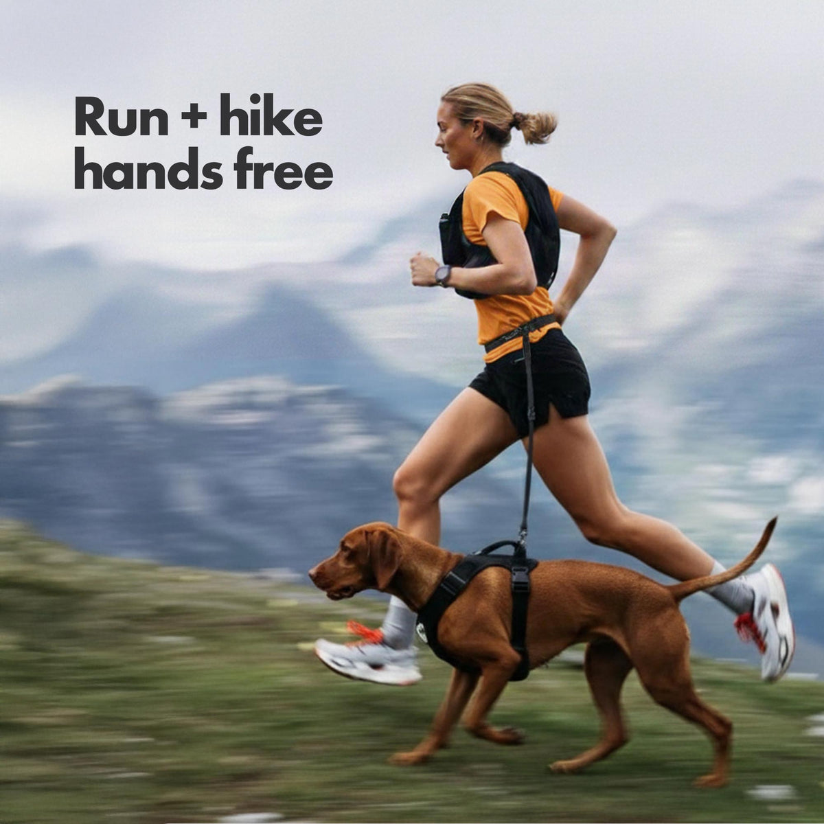 Hands-Free Dog Leash product image 8