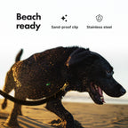 Hands-Free Dog Leash product image 10