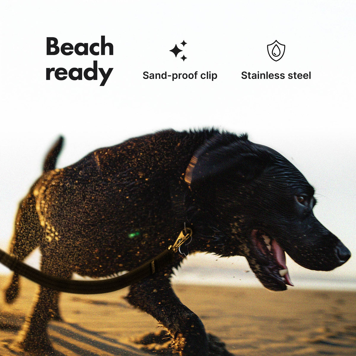 Hands-Free Dog Leash product image 10