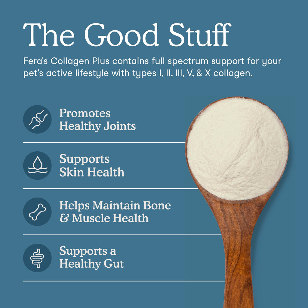 Pet Collagen Supplement product image 2