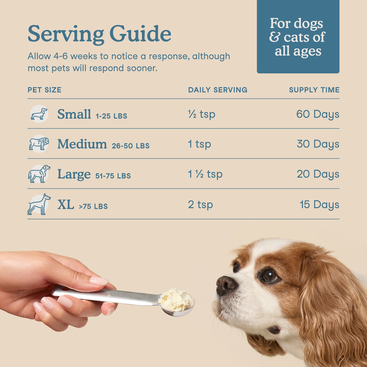Pet Collagen Supplement product image 4