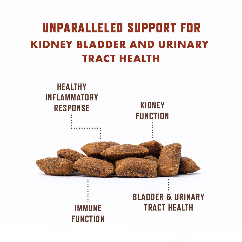 Cat Urinary Supplement product image 3
