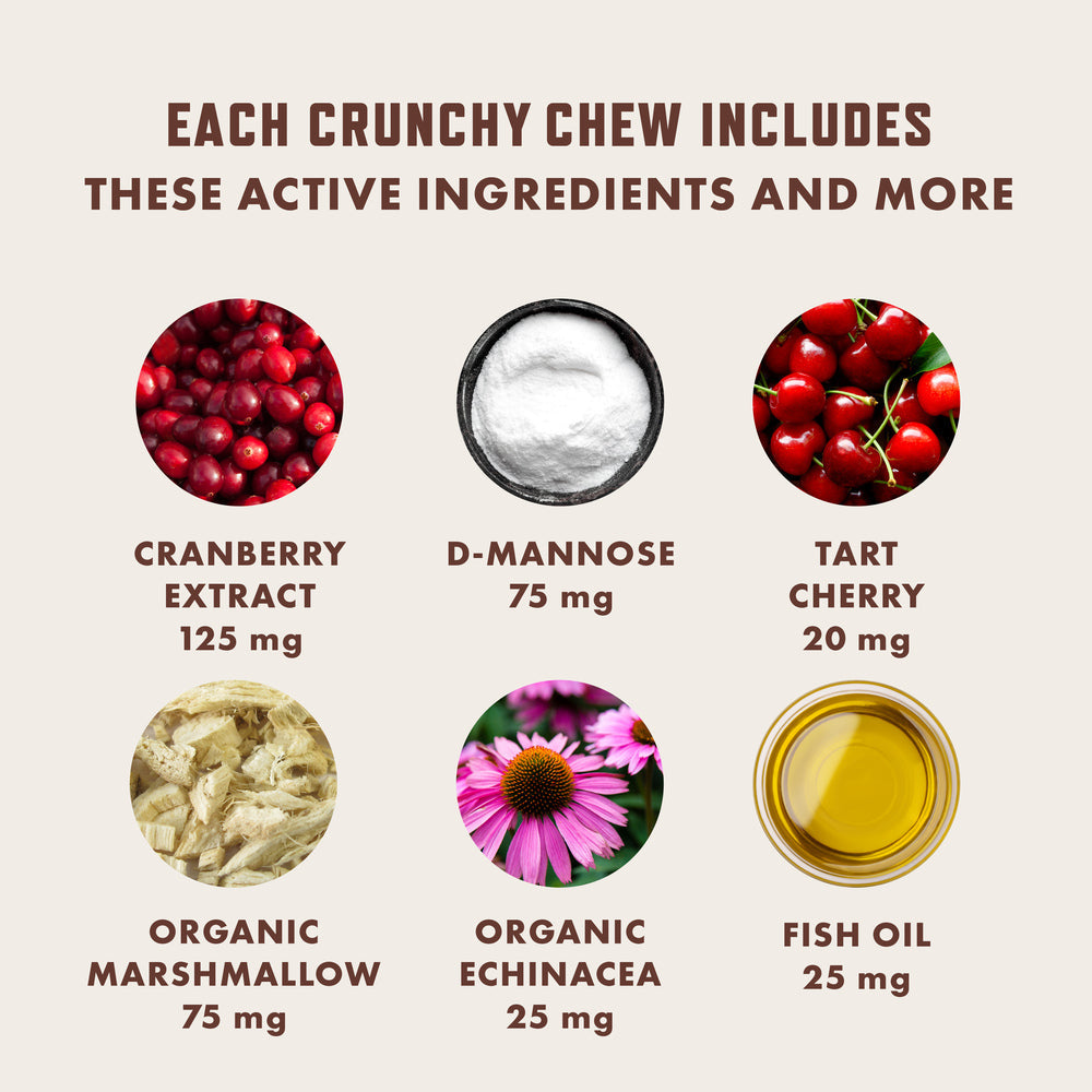 Cat Urinary Supplement product image 4