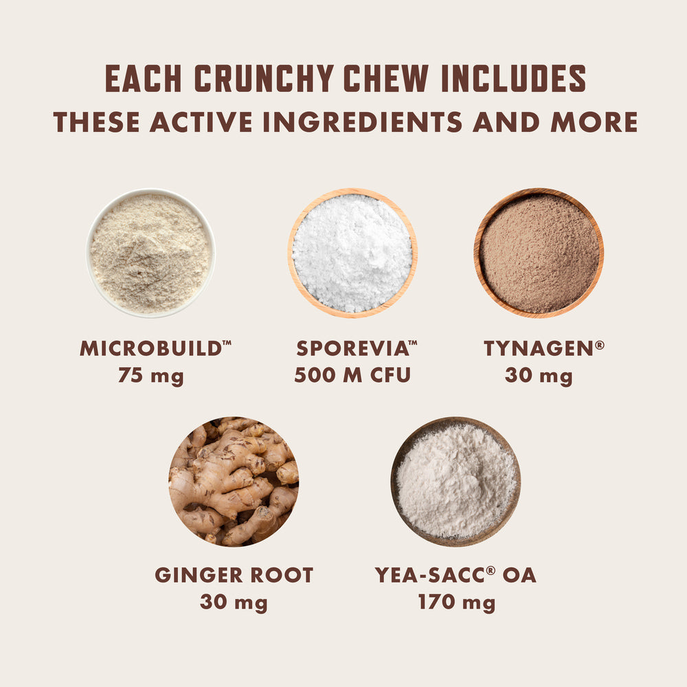 Cat Probiotic Chews product image 4