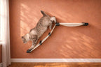 Cat Hammock product image 1