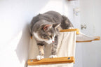 Cat Hammock product image 3