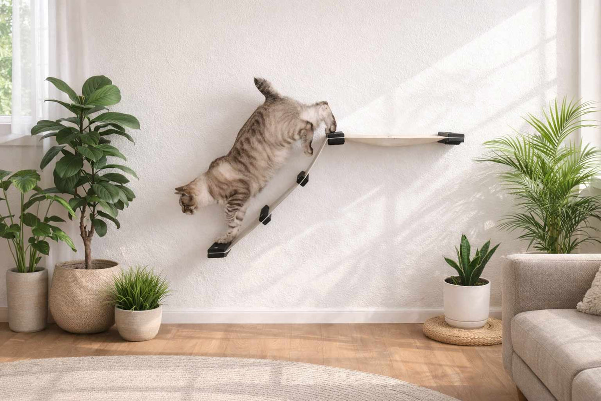 Cat Hammock product image 4