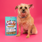Teeny Tiny Treat Bundle