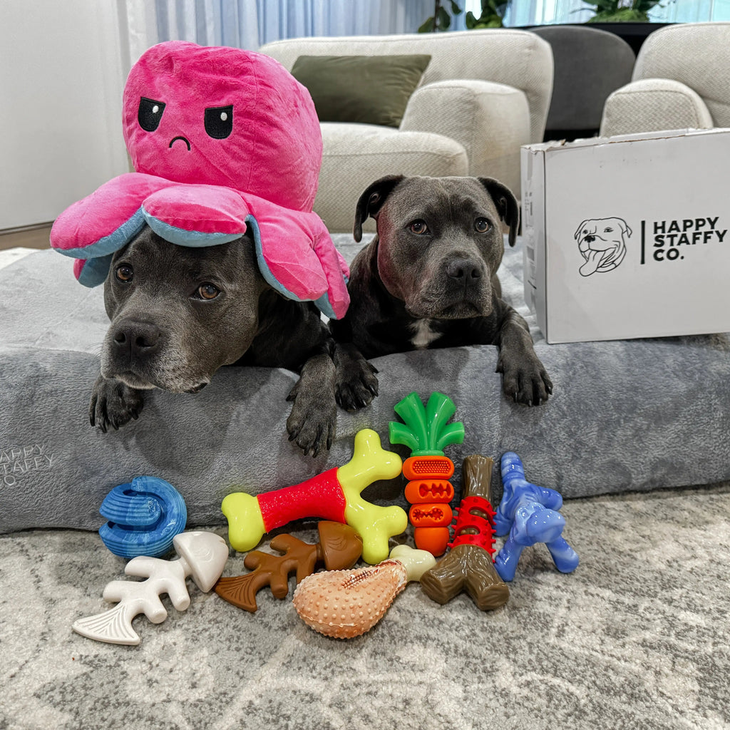 Alligator Dog Chew Toy product image 2