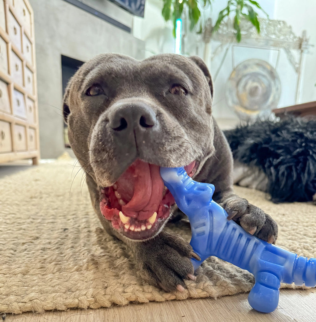 Alligator Dog Chew Toy product image 3
