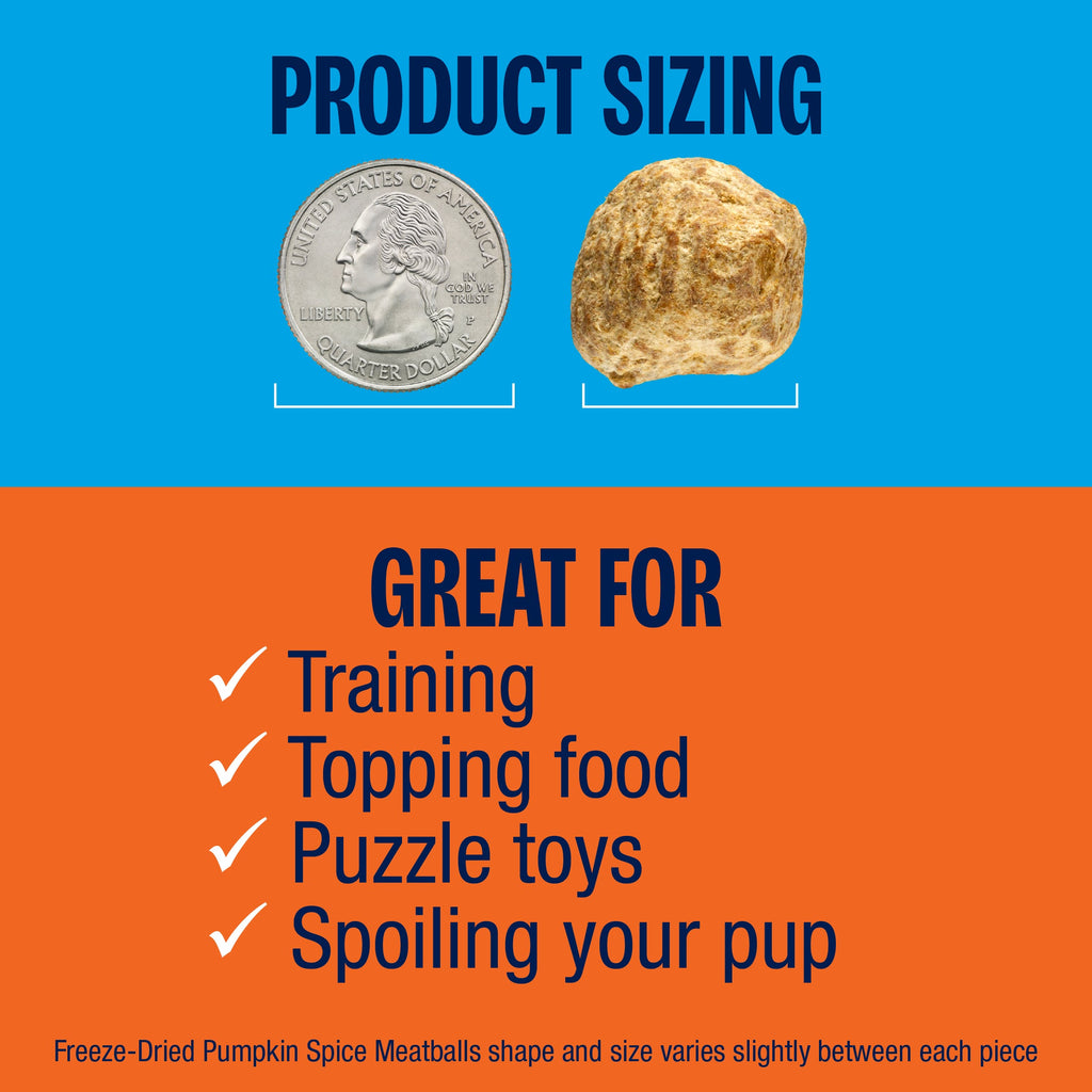 Freeze-Dried Beef and Turkey Dog Treats product image 6
