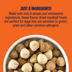 Freeze-Dried Beef and Turkey Dog Treats product image 7