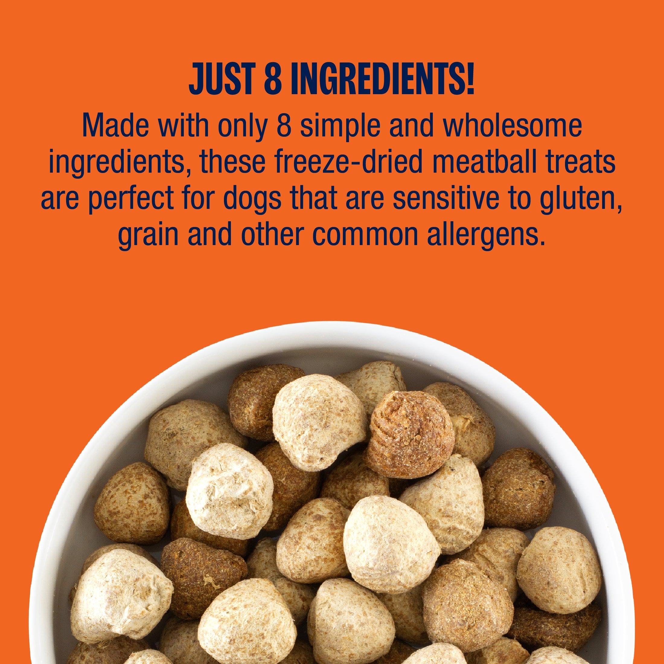 Freeze-Dried Beef and Turkey Dog Treats product image 7