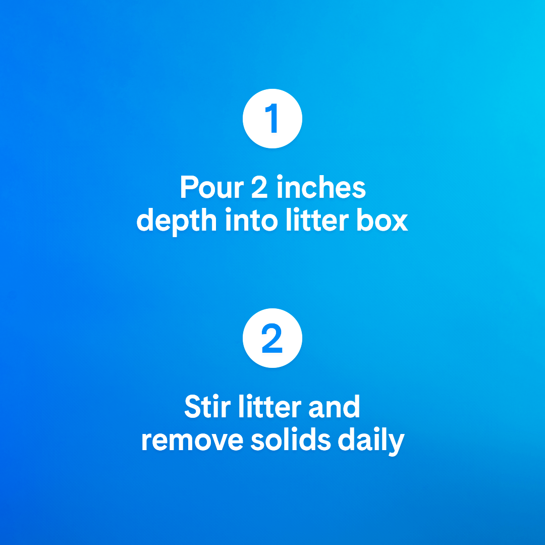 Non-Clumping Cat Litter product image 10