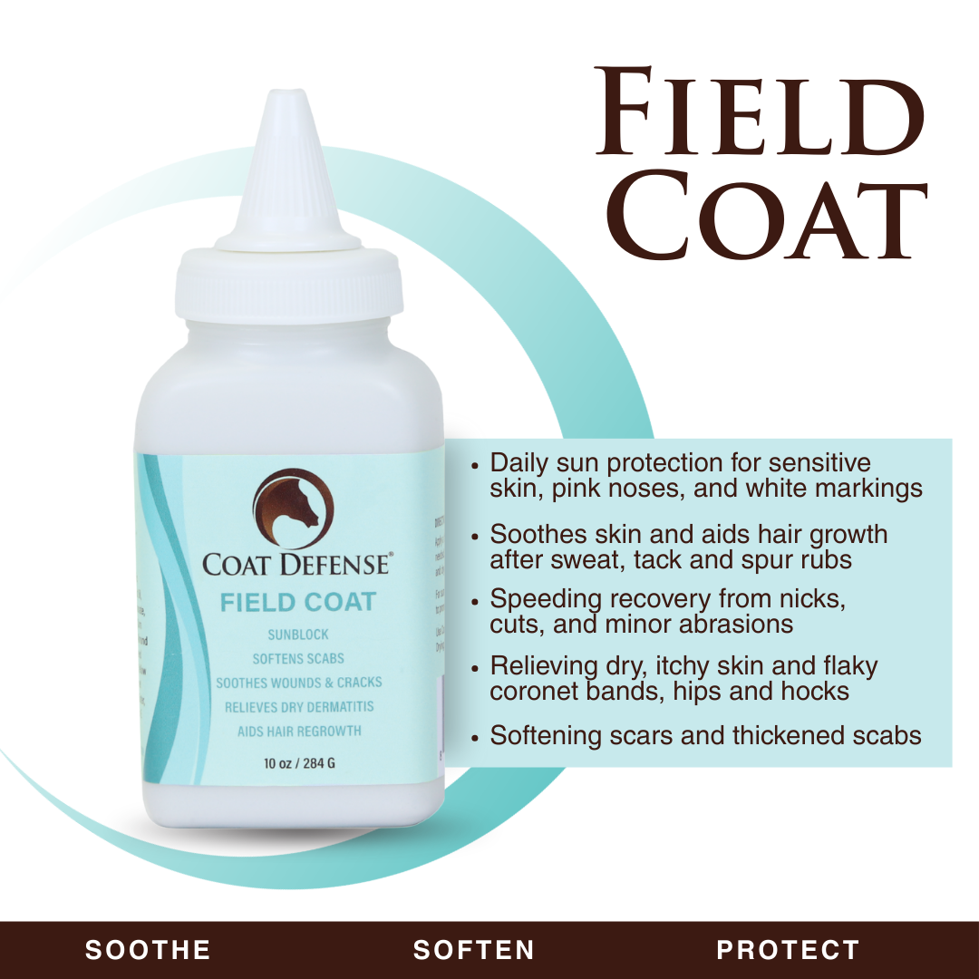 Horse Grooming Kit product image 6