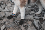 Dog Paw Bootie Set product image 2